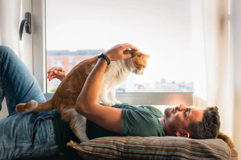 Apartament abonamentowy przyjazny zwierzętom we Wrocławiu